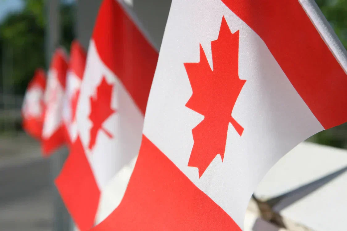 How to Get a Notification of Interest (NOI) from Ontario (OINP) in 2026